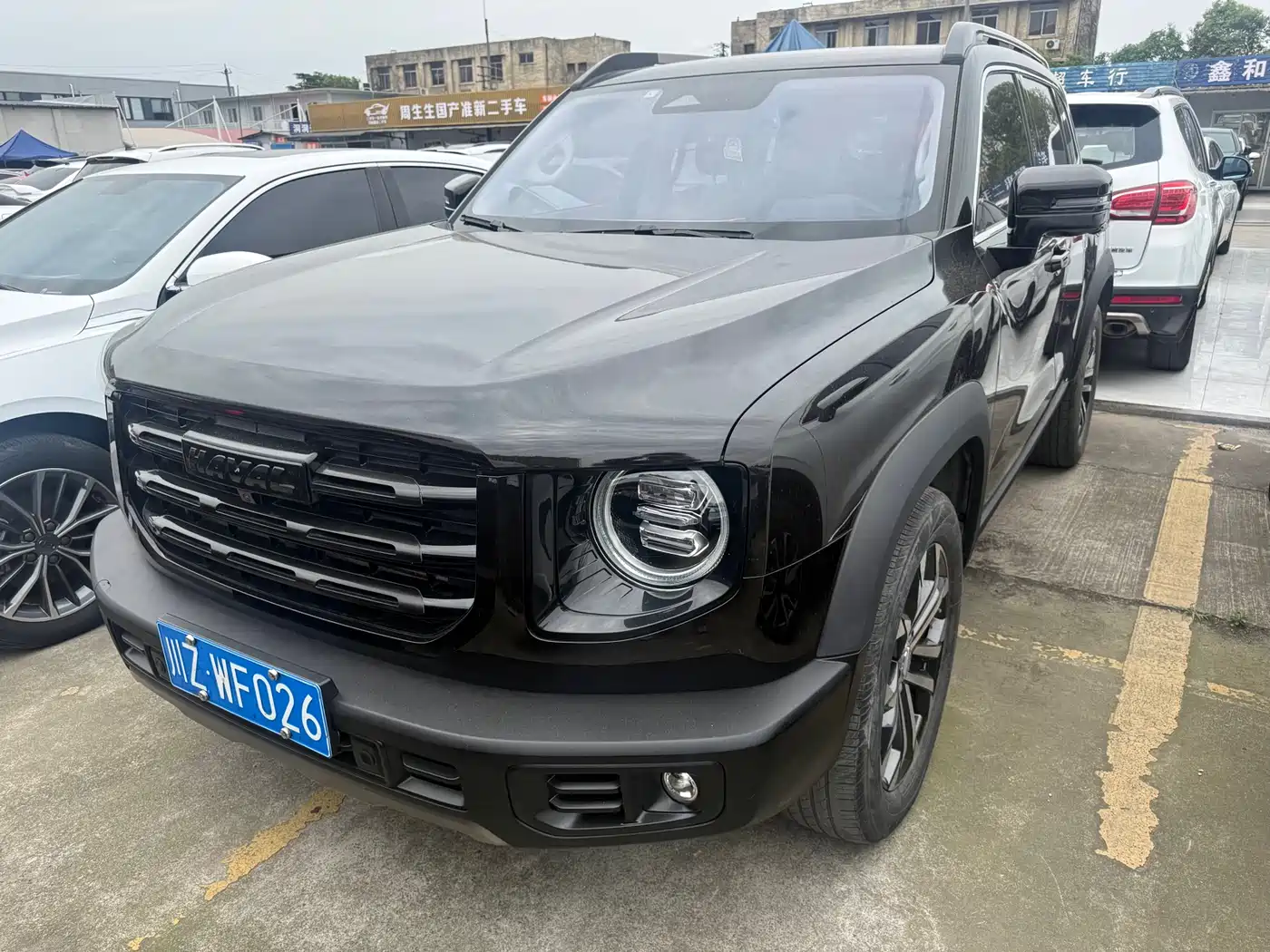 Haval Big Dog 2021 1.5T DCT 2WD Border Collie Edition
