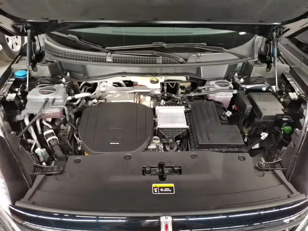 Hongqi HS3 PHEV 2025 PHEV 115km Power Edition фото 20