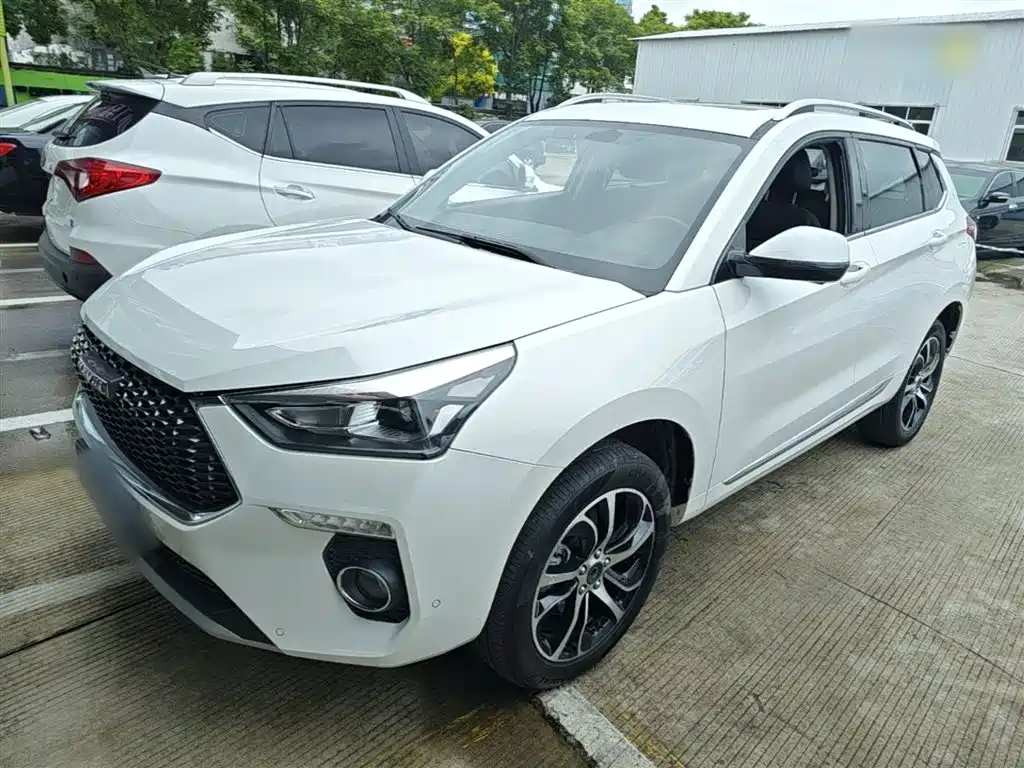 Haval H6 Coupe 2018 Red Label 1.5T Auto 2WD Ultra Luxury фото 2