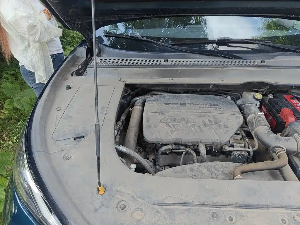 Dongfeng Fengxing Fengxing T5 EVO 2021 2021 1.5TD DCT Diamond Edition