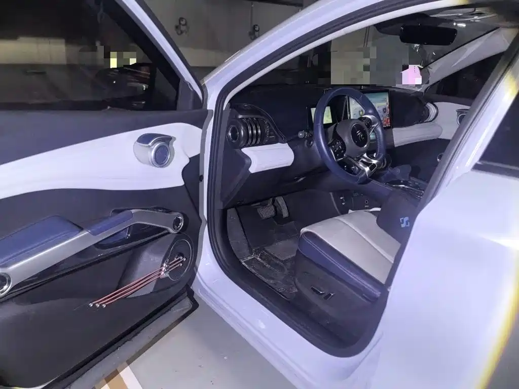 BYD Yuan PLUS 2022 430KM Premium 14