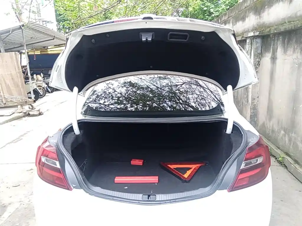 Buick Regal 2015 1.6T Leading Tech Edition фото 19