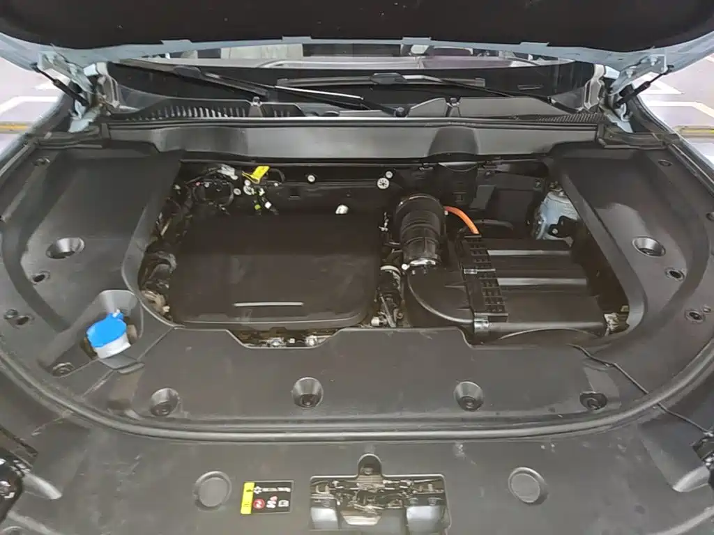WEY Latte DHT-PHEV 2023 2022 1.5T 2WD Extra Large Cup