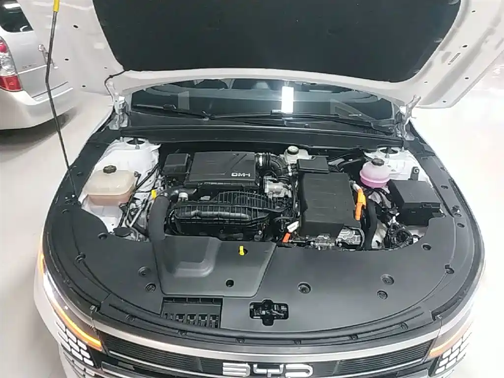 BYD Destroyer 05 2024 Glory Edition DM-i 55KM Luxury фото 20