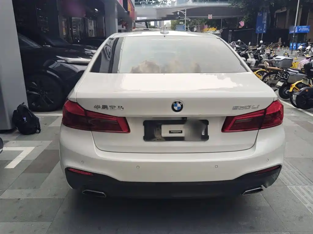 BMW 5 Series 2020 530Li Leading M Sport Package фото 6