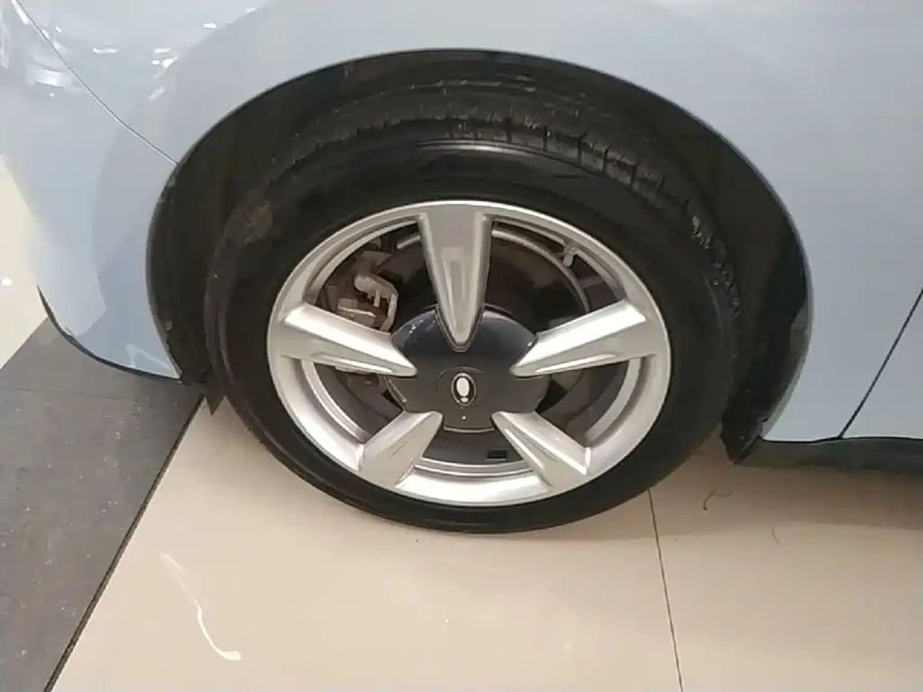 Ora Good Cat 2024 2023 401km Standard Range Luxury LFP