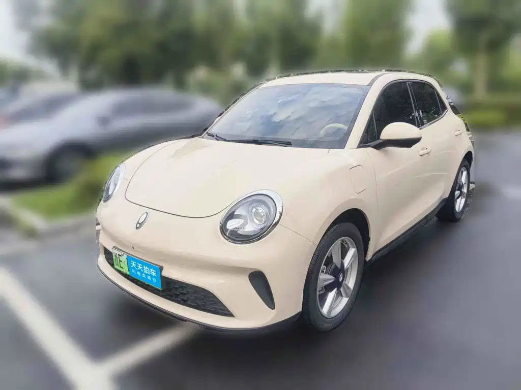 Ora Good Cat 2025 Model 430km Luxury