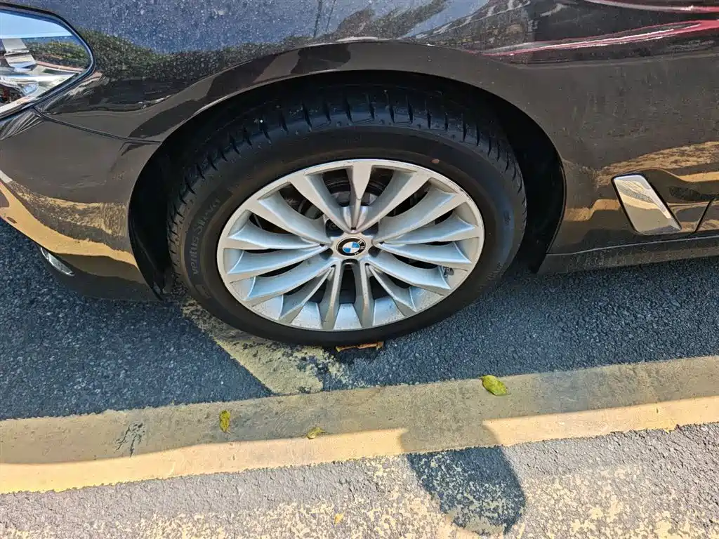 BMW 5 Series 2018 530Li Leading Luxury Package фото 25