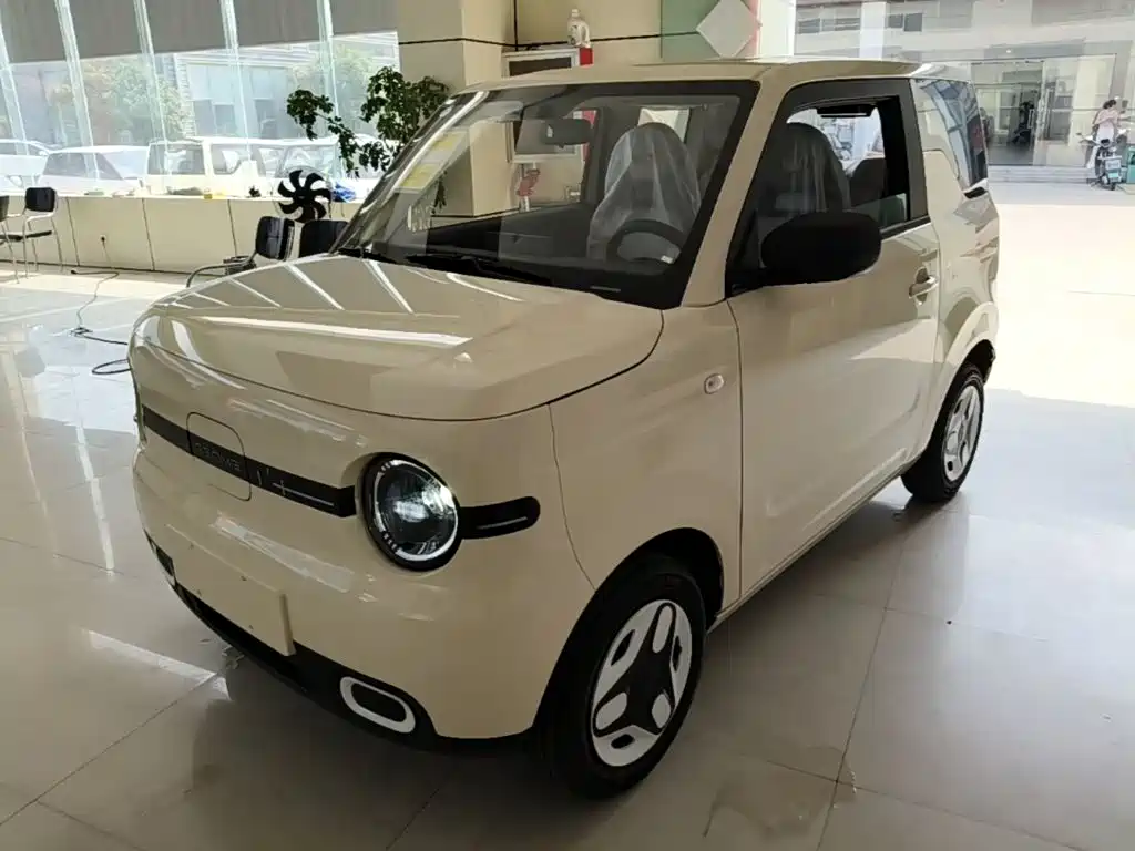 Geely Galaxy Panda 2025 Panda mini 210km Vitality Bear