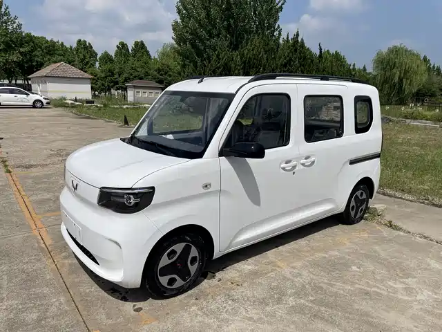  Wuling Motors Wuling Zhiguang NEV 2025 Model 305km Base Version