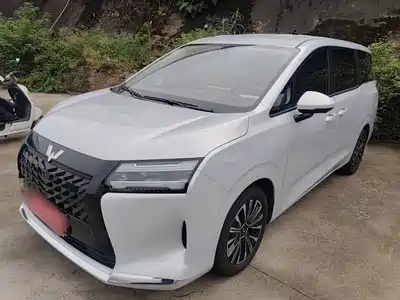 Wuling Starlight 730