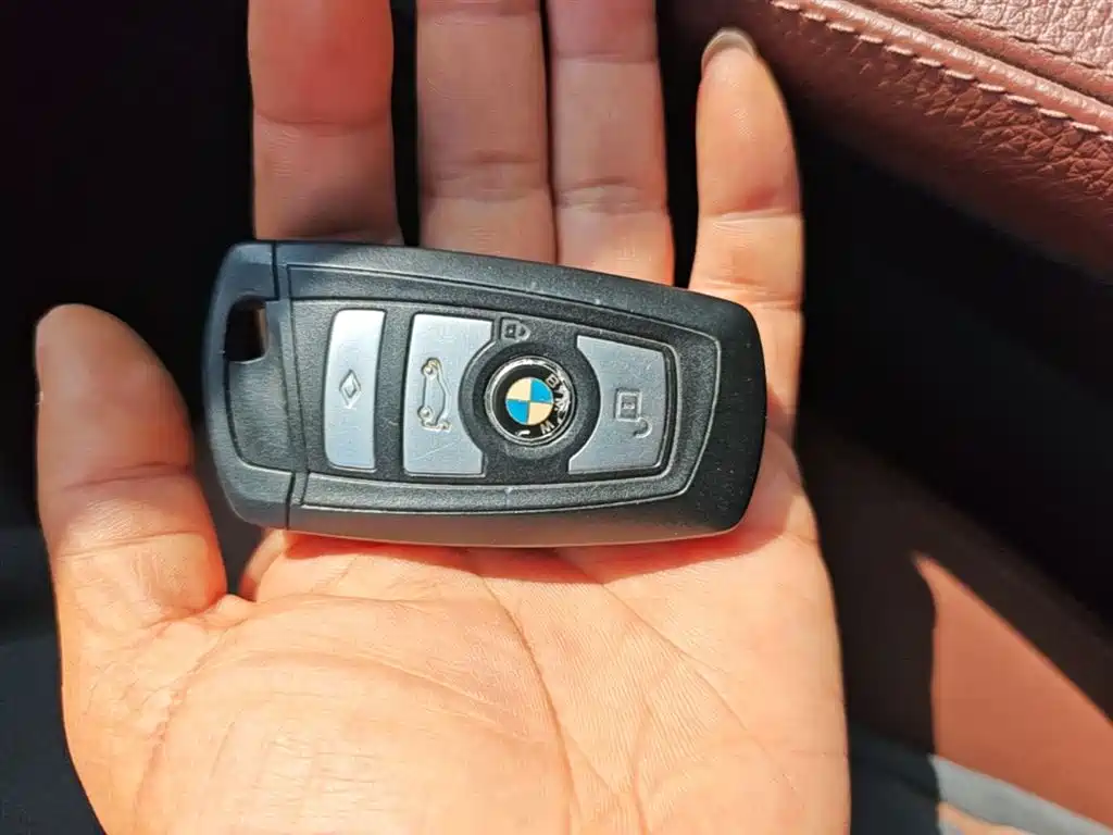 BMW 5 Series 2014 520Li Elegance фото 9