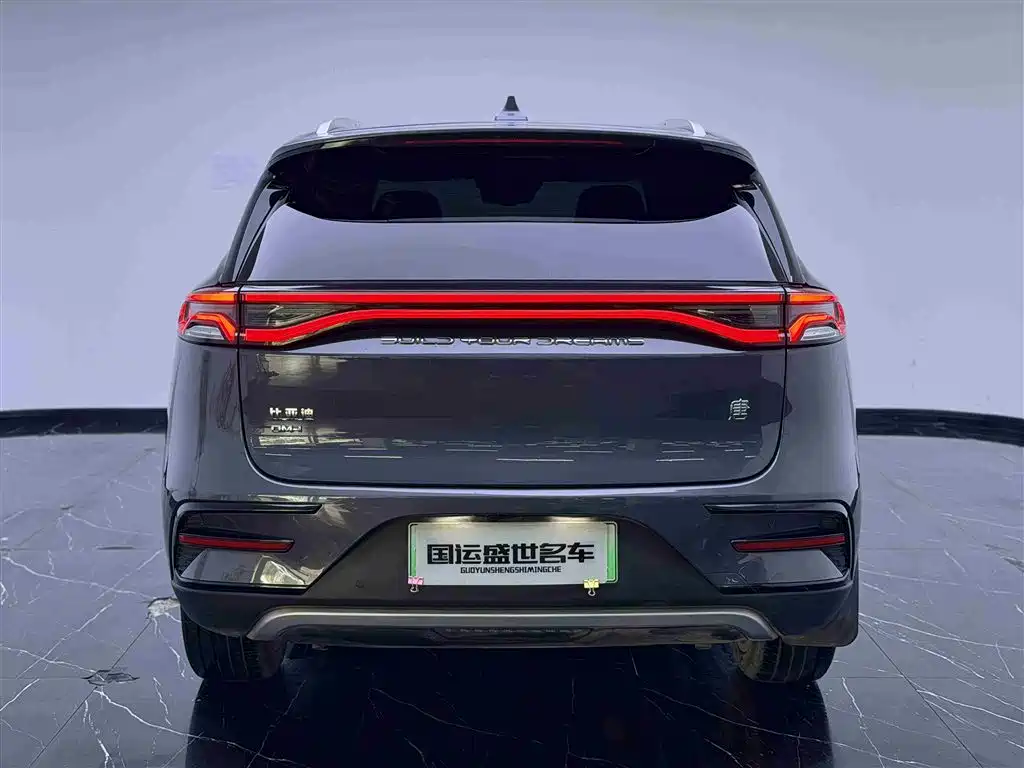 BYD Tang New Energy 2021 DM-i 112KM Honor фото 5