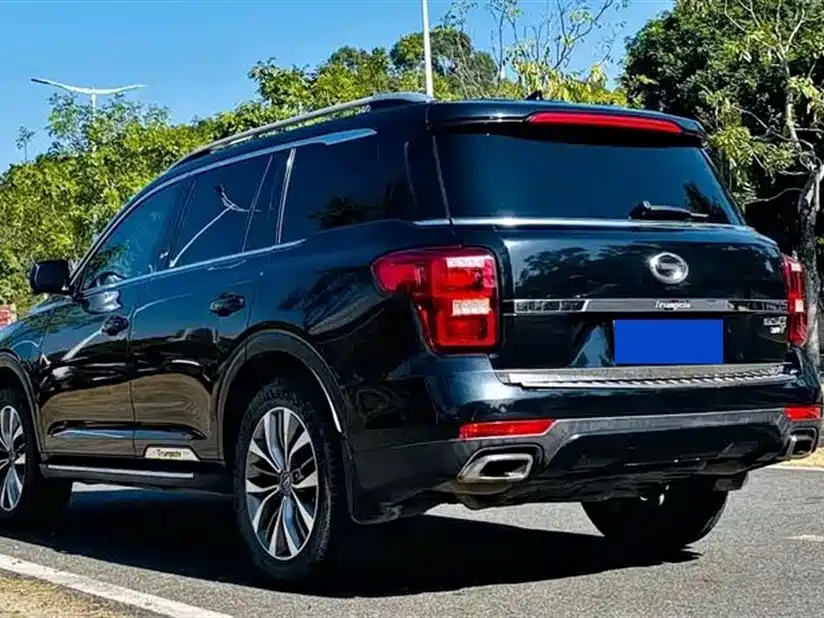 GAC Trumpchi Trumpchi GS8 2017 320T 2WD Luxury Smart Connect (7-seater) фото 7