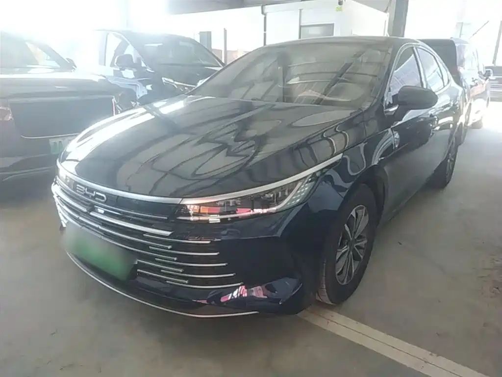 BYD Destroyer 05 2024 Glory Edition DM-i 55KM Luxury фото 2