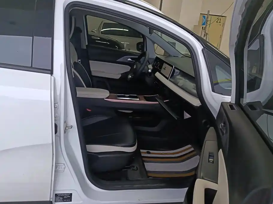 Geely Geometry E Firefly 2024 2024 Model 301km Starlight