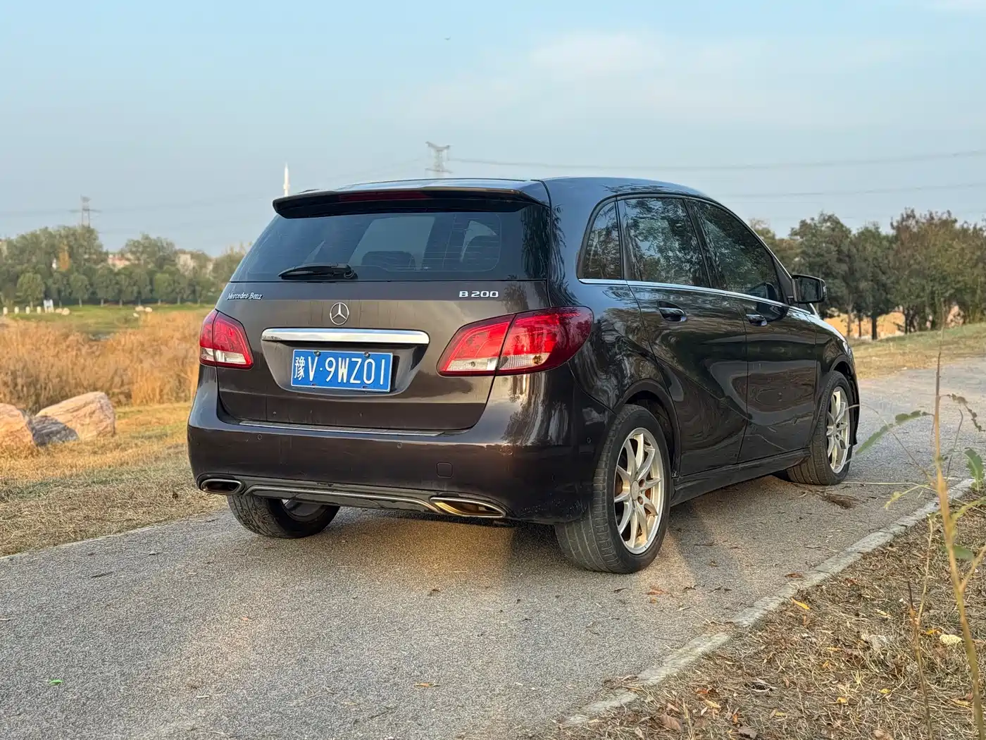Mercedes-Benz B-Class 2015 B 200 Dynamic фото 5
