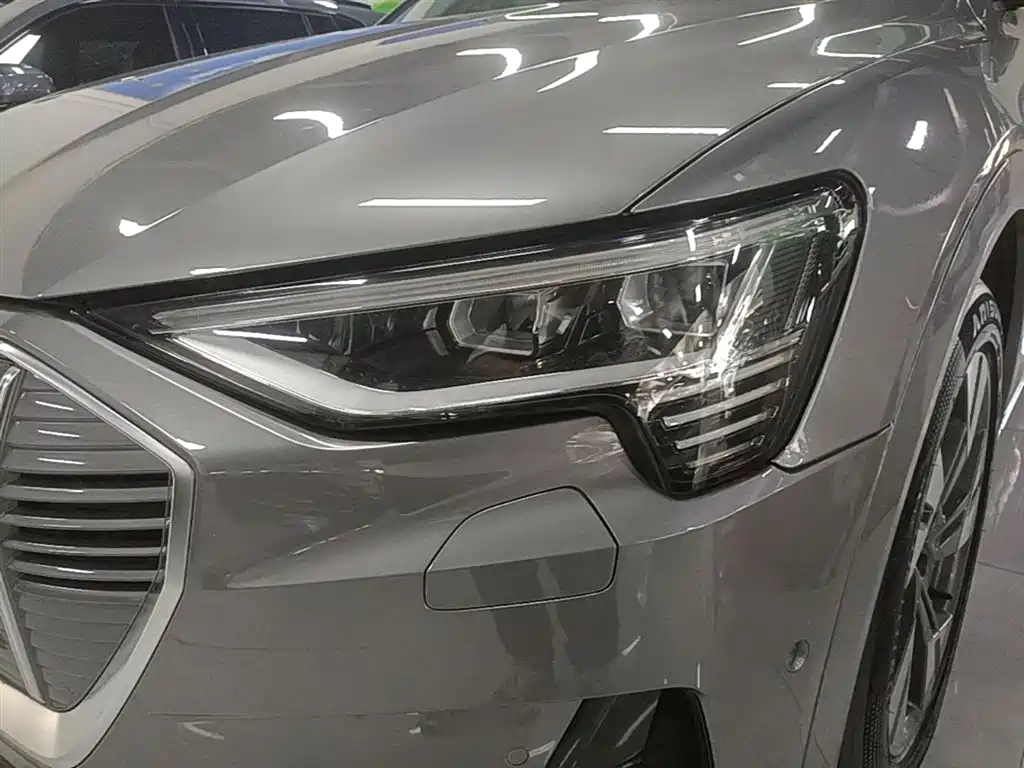 Audi e-tron (Import) 2019 55 quattro Technology фото 24