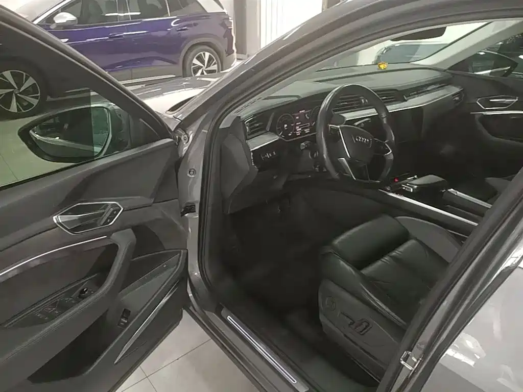 Audi e-tron (Import) 2019 55 quattro Technology фото 16