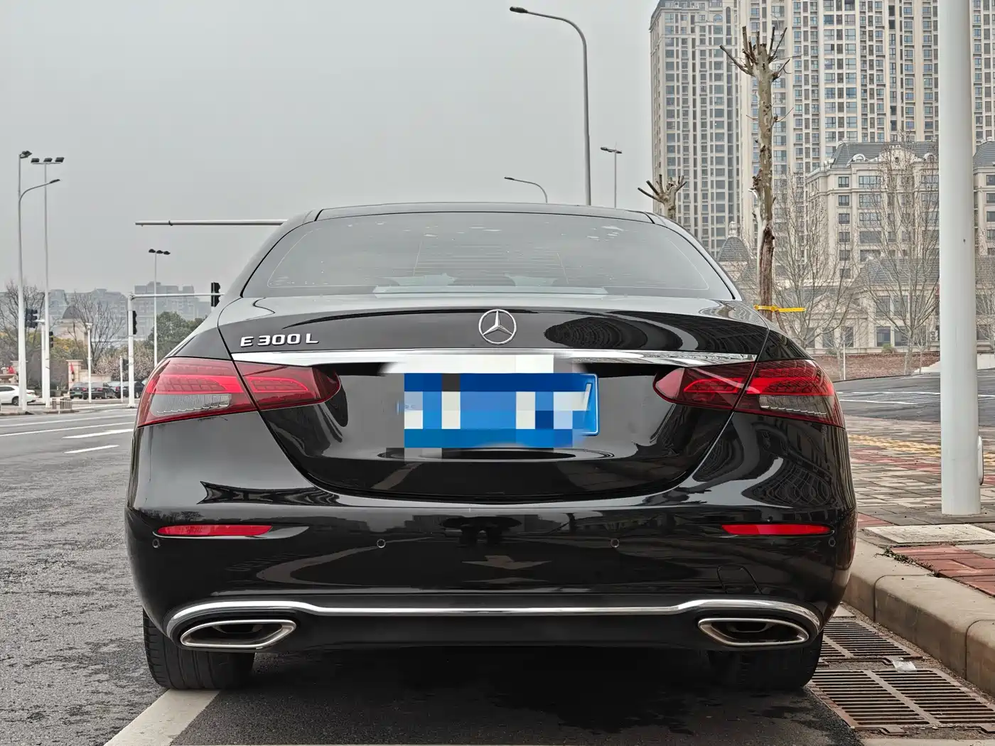 Mercedes-Benz E-Class 2021 E 300 L Luxury фото 12