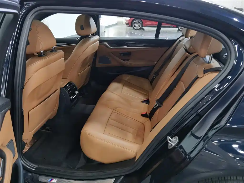 BMW 5 Series 2018 530Li Premium M Sport Package фото 15