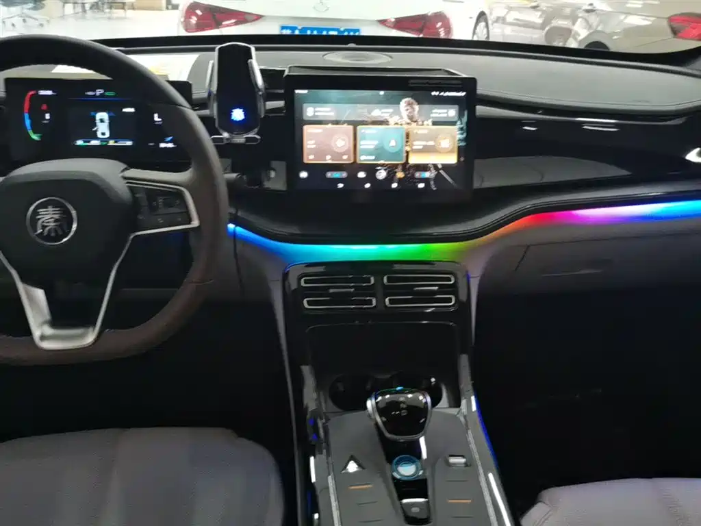 BYD Qin PLUS 2023 Champion Edition DM-i 55KM Leading фото 13