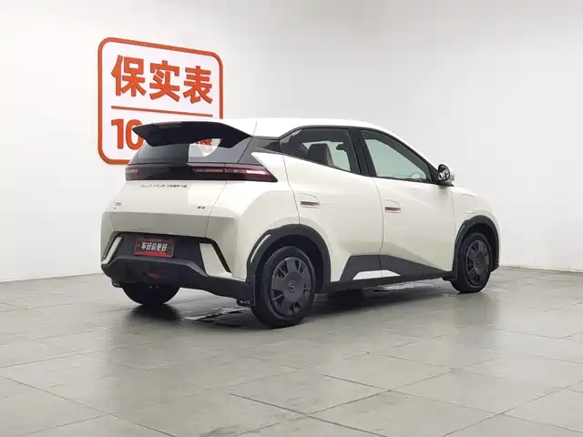 BYD Seagull 2024 Glory Edition 305km Vitality Edition — фото 2