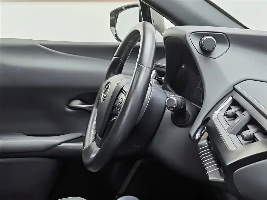 Lexus UX 2020 260h Explore Fun Edition China V фото 22