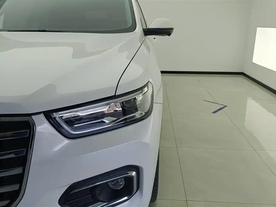 Haval H6 2020 1.5GDIT Automatic Platinum Champion Edition фото 5