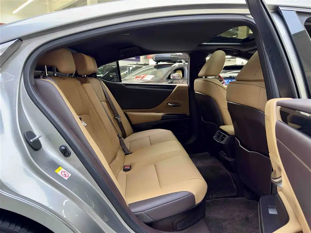 Lexus ES 2018 300h Excellence Edition China VI фото 7
