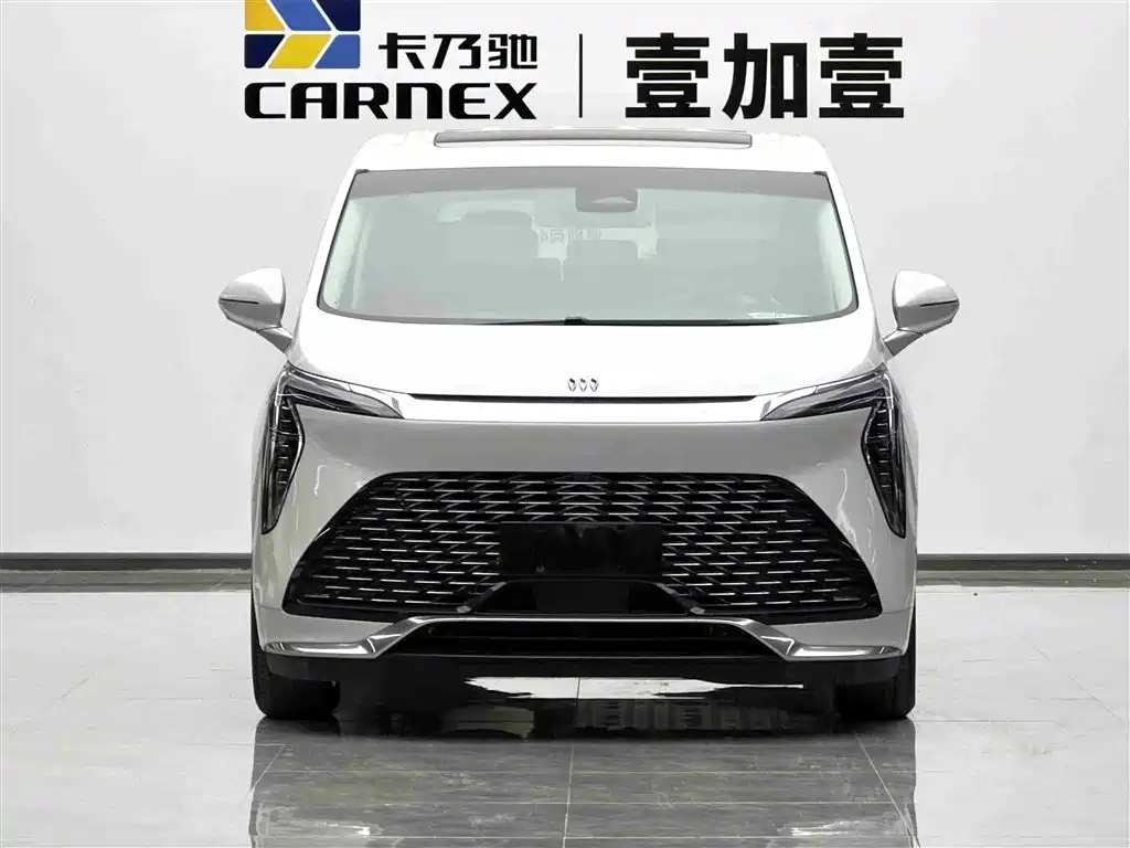 Buick Century 2025 2.0T 7-Seater World Edition фото 2