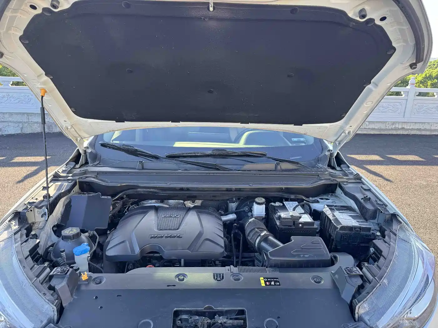 Haval Chitu 2021 2022 Power Edition 1.5T Purple Copper Rabbit