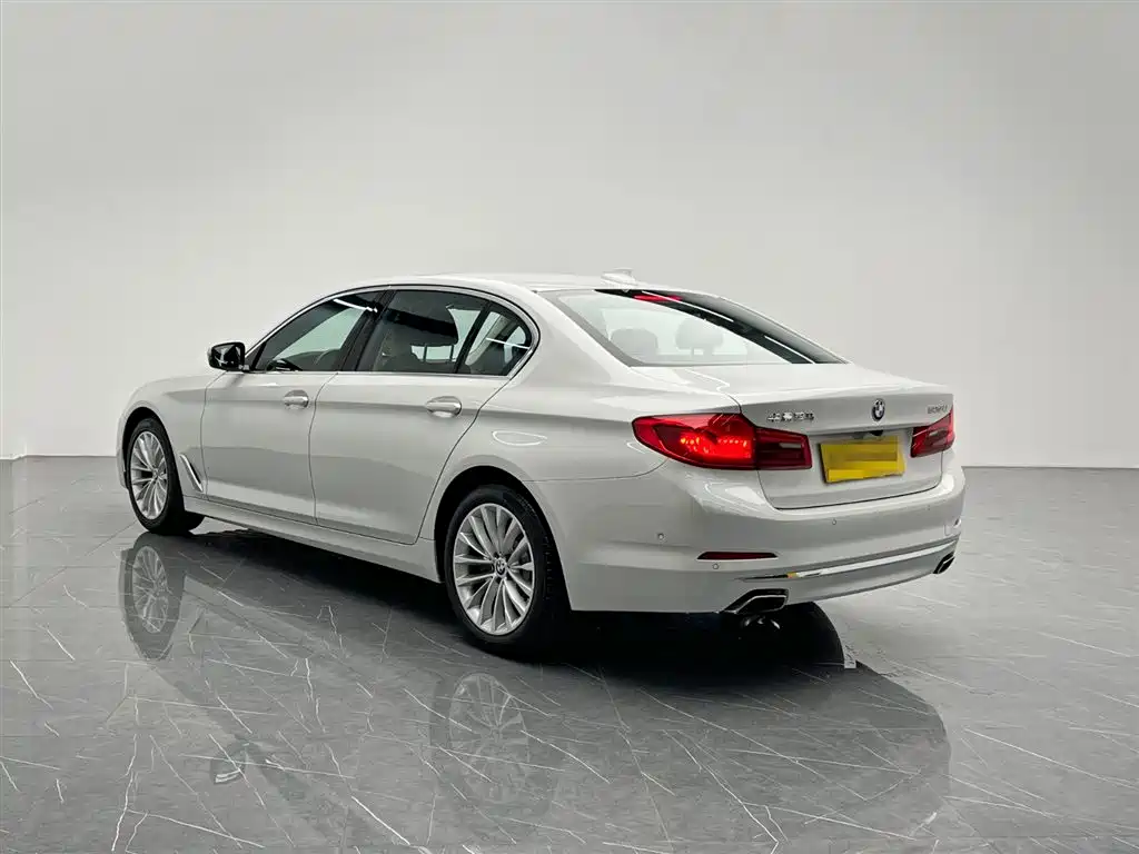 BMW 5 Series 2020 525Li Luxury Package фото 4