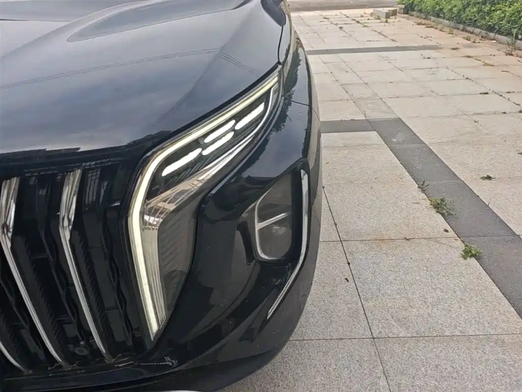 Hongqi HS7 PHEV 2024 2.0T PHEV AWD Qichang Edition 7-seater фото 24