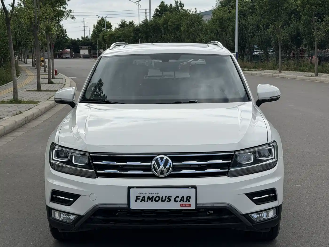 Volkswagen Tiguan L 2019 330TSI Automatic 2WD Smart Luxury Edition China VI фото 2