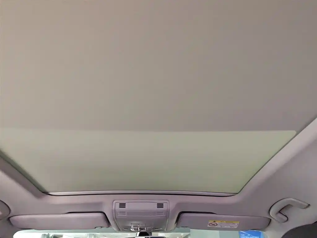 Volkswagen Magotan 2020 330TSI DSG Luxury фото 18