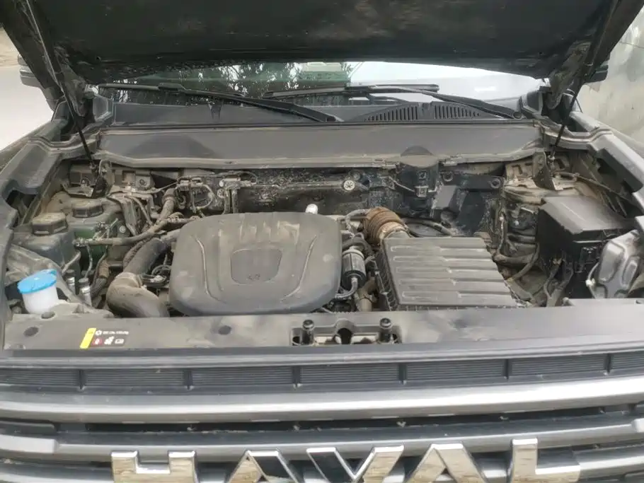 Haval Meng Long NEV 2024 Hi4 145 Cross-country Edition фото 10