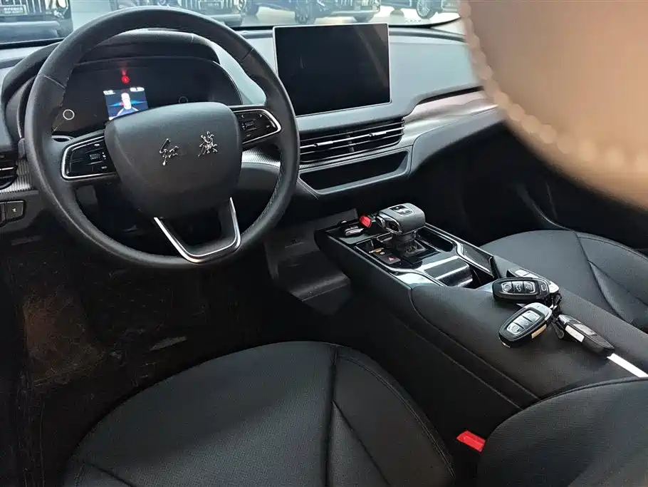 Hongqi E-QM5 2023 Facelift Basic Travel Edition фото 12