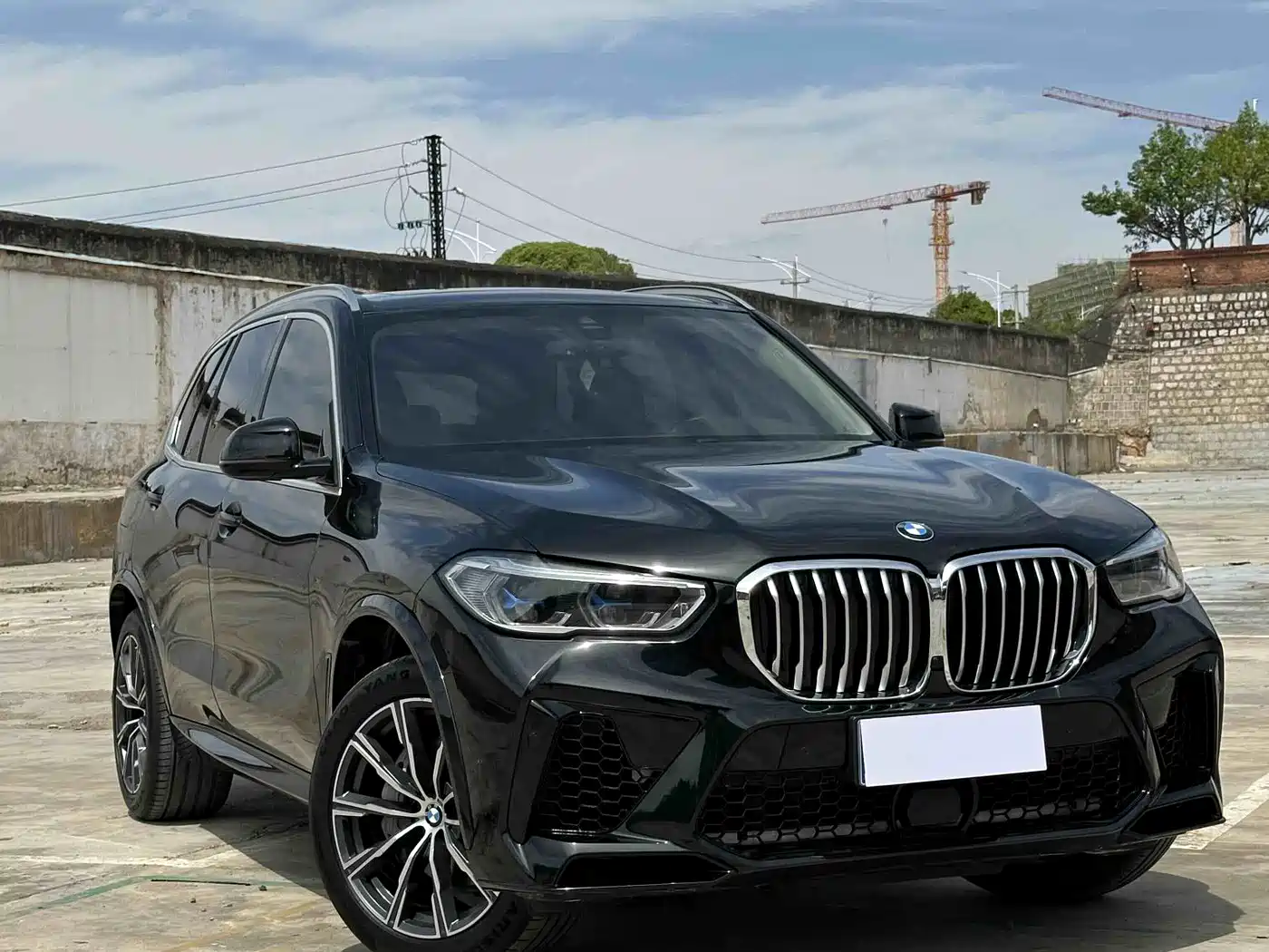 BMW X5 (Import) 2019 xDrive40i M Sport Package фото 3