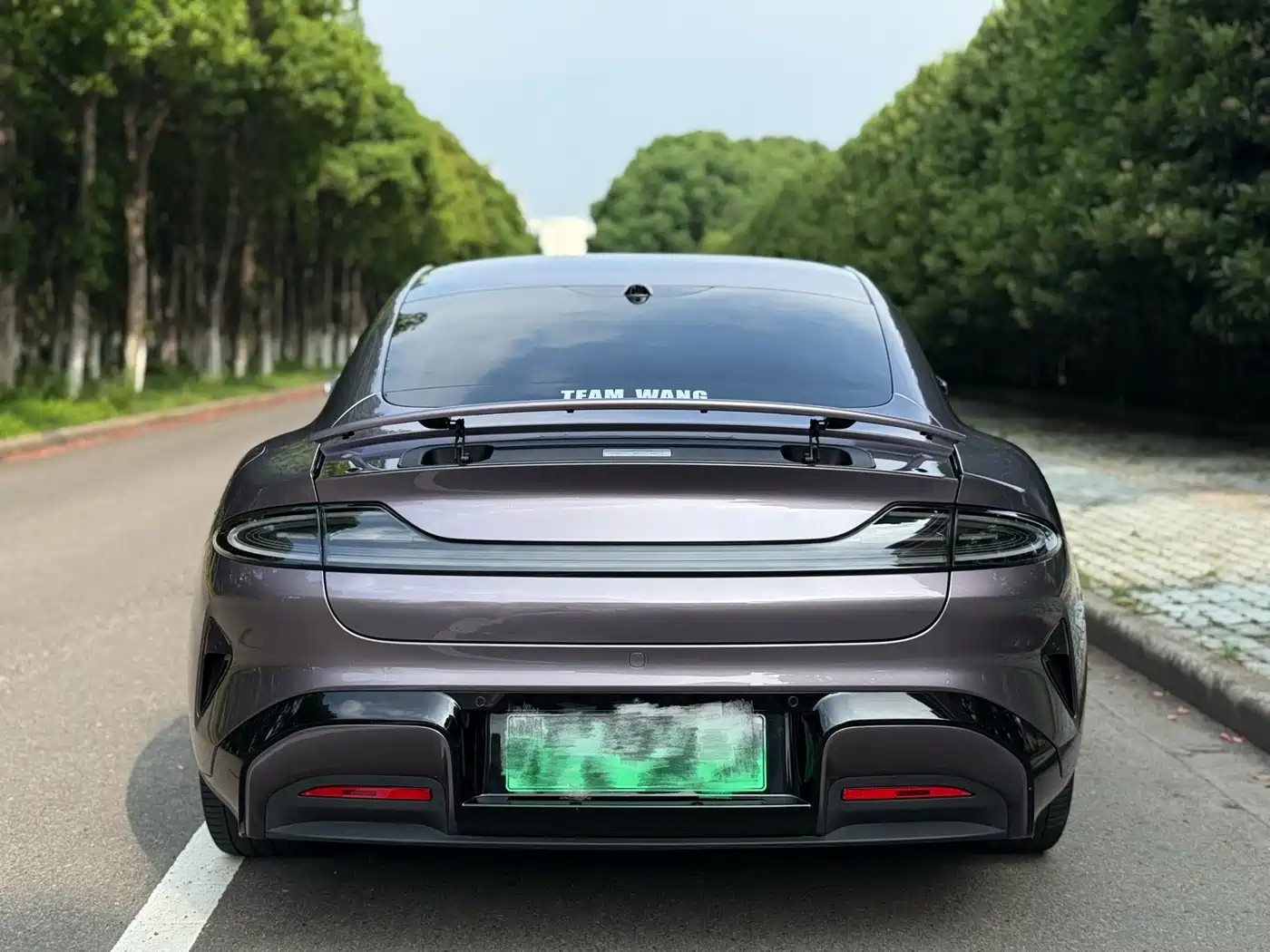 Xiaomi Auto Xiaomi SU7 2024 AWD Extended Range Advanced Smart Driving Max Edition фото 10