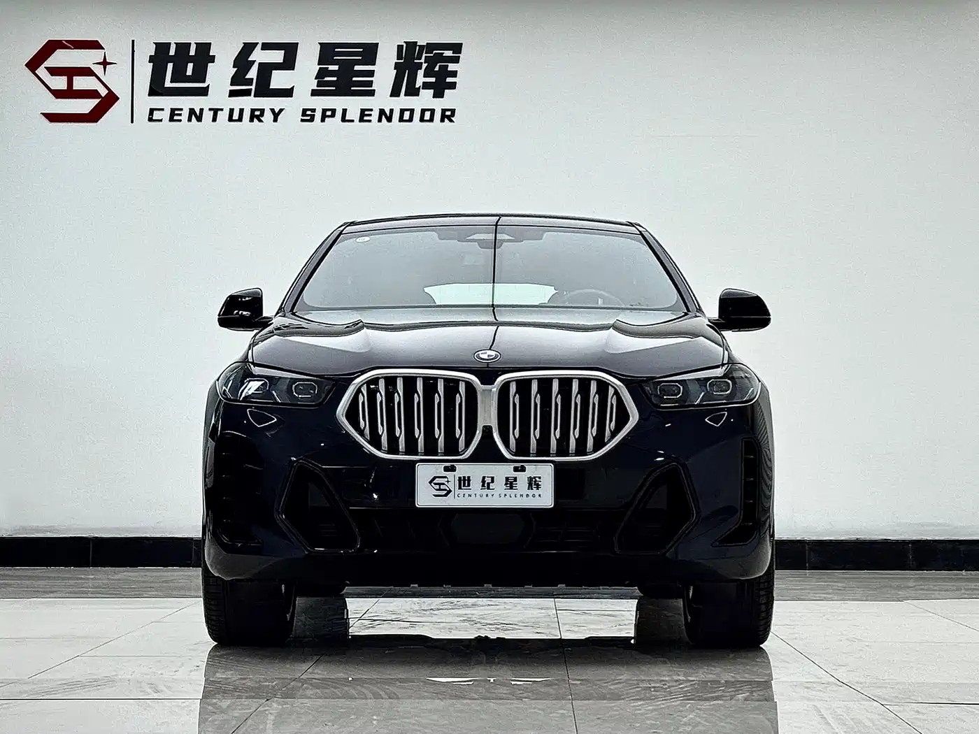 BMW X6 2023 xDrive40i Premium M Sport Package фото 3