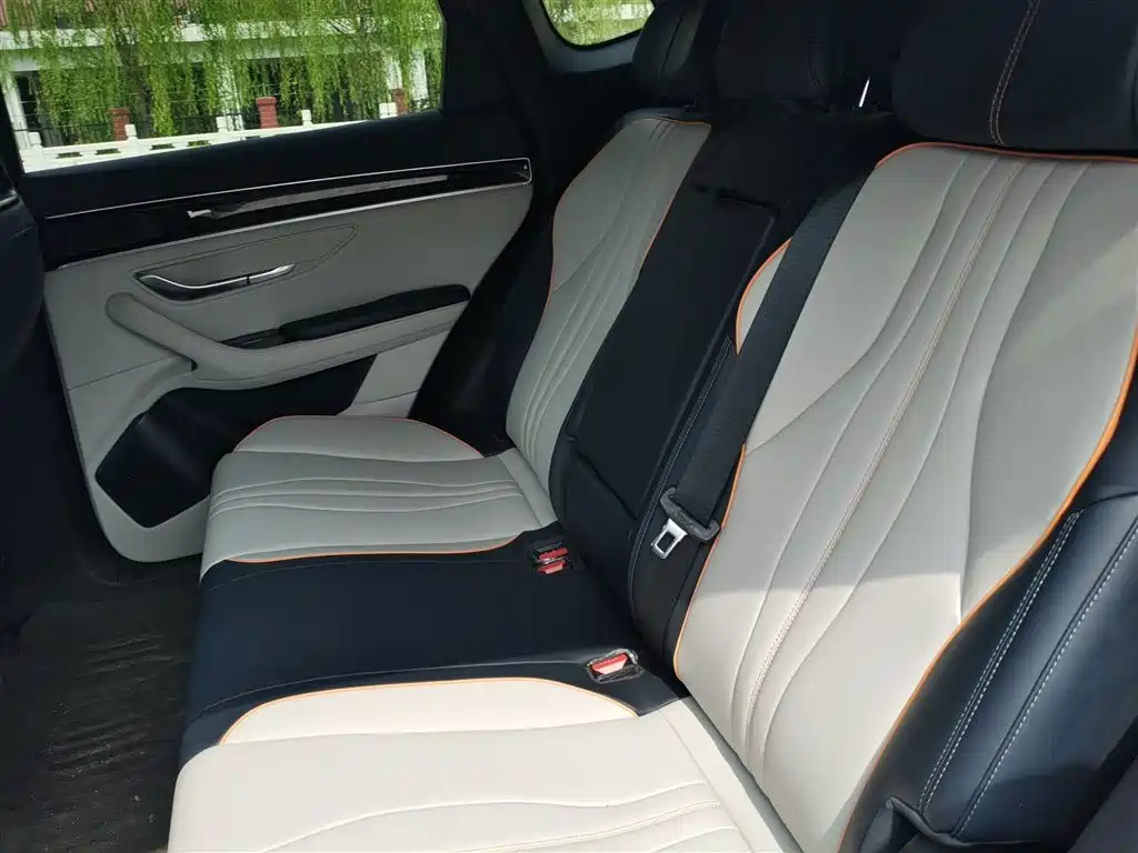 BYD Song PLUS PHEV 2024 Glory Edition DM-i 110km Flagship фото 15