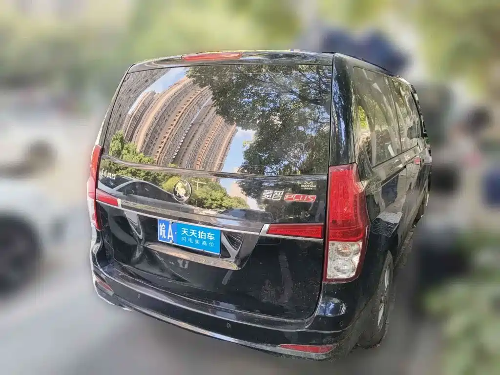 2024 Dongfeng Fengxing Lingzhi PLUS