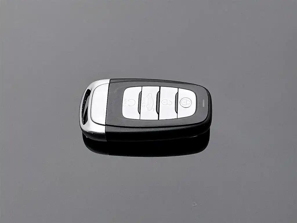 Hongqi H5 2020 1.8T Automatic Smart Connection Qi Enjoy Edition фото 19