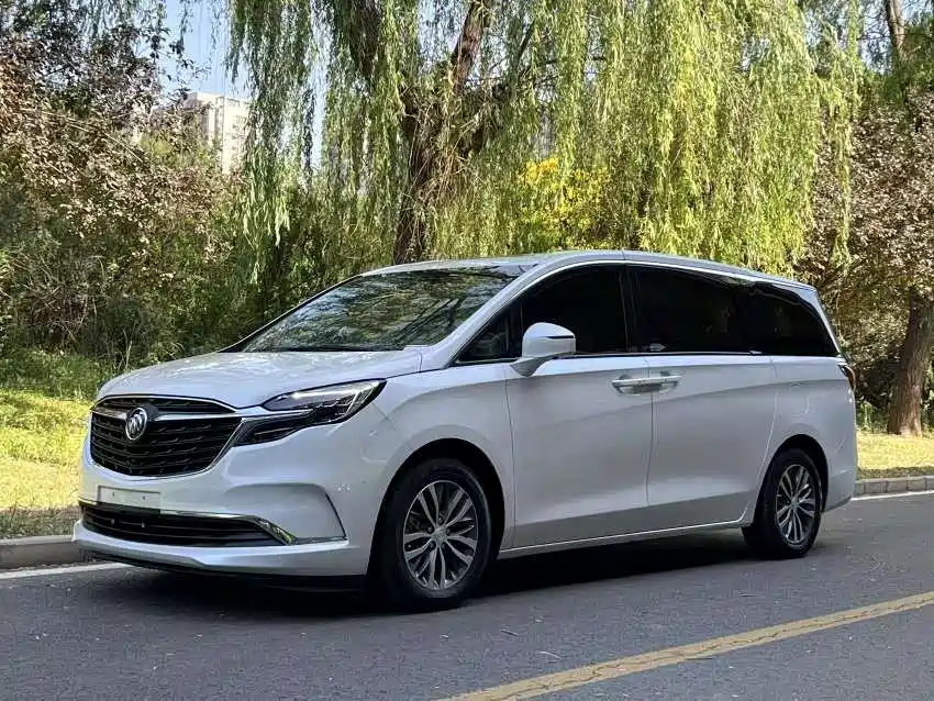 Buick GL8 2020 Model ES Landglory 653T Comfort