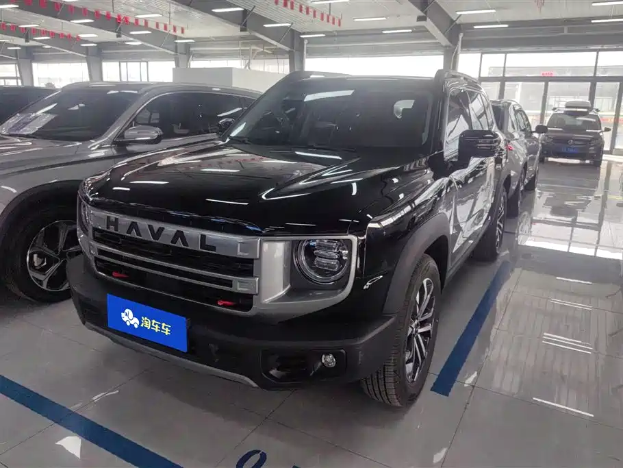 Haval Big Dog 2024 1.5T DCT Border Collie Edition