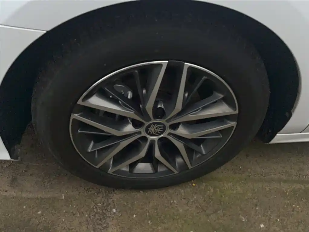 BYD Qin PLUS 2021 DM-i 55KM Flagship фото 5