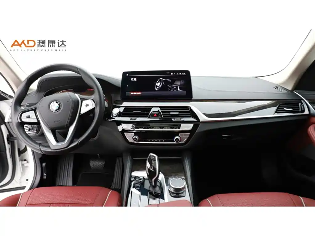 BMW 5 Series 2021 525Li Luxury Package фото 5