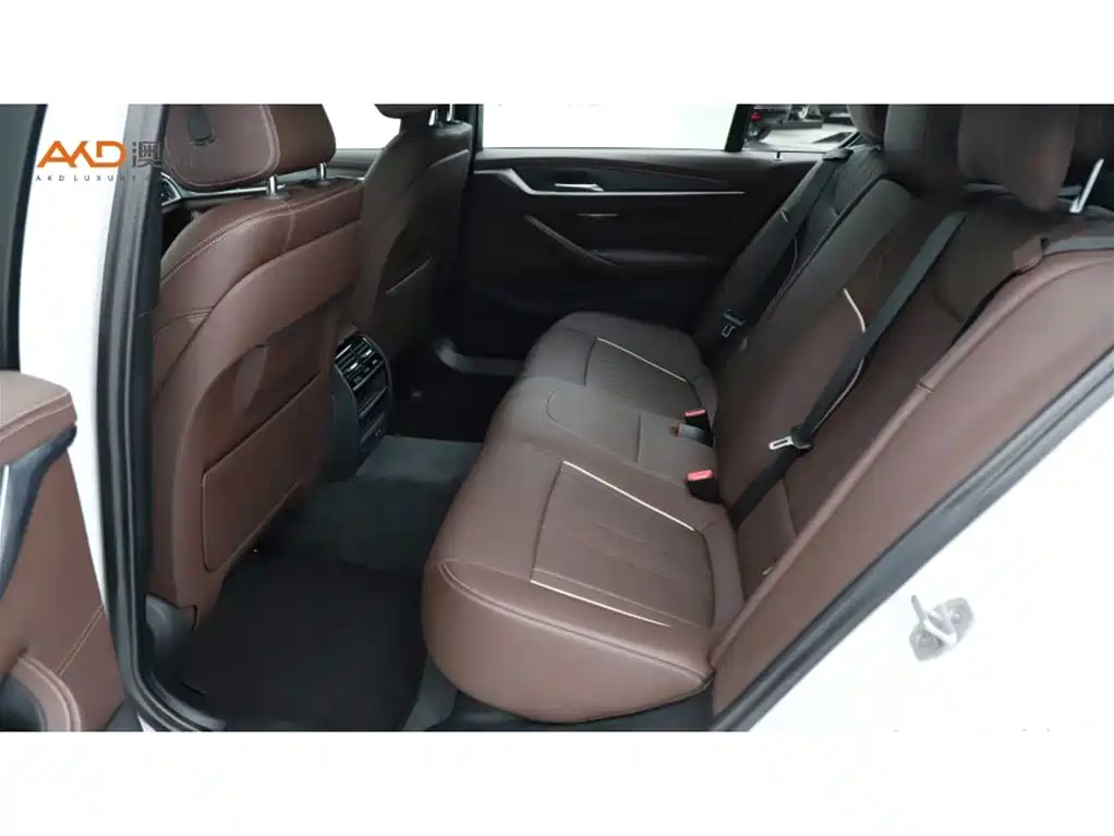 BMW 5 Series 2022 Model Second Facelift 530Li Leading M Sport Package фото 7