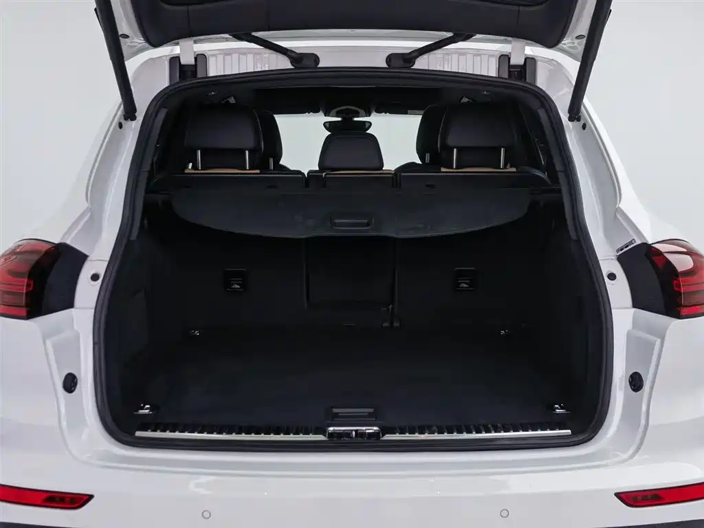 PORSCHE CAYENNE NEW ENERGY